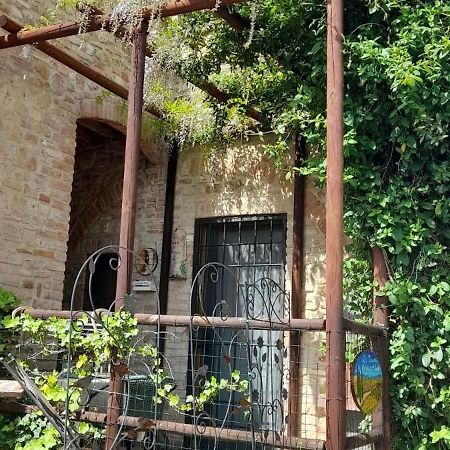 La Casina Di Ancicucco 2 San Gimignano Exterior foto
